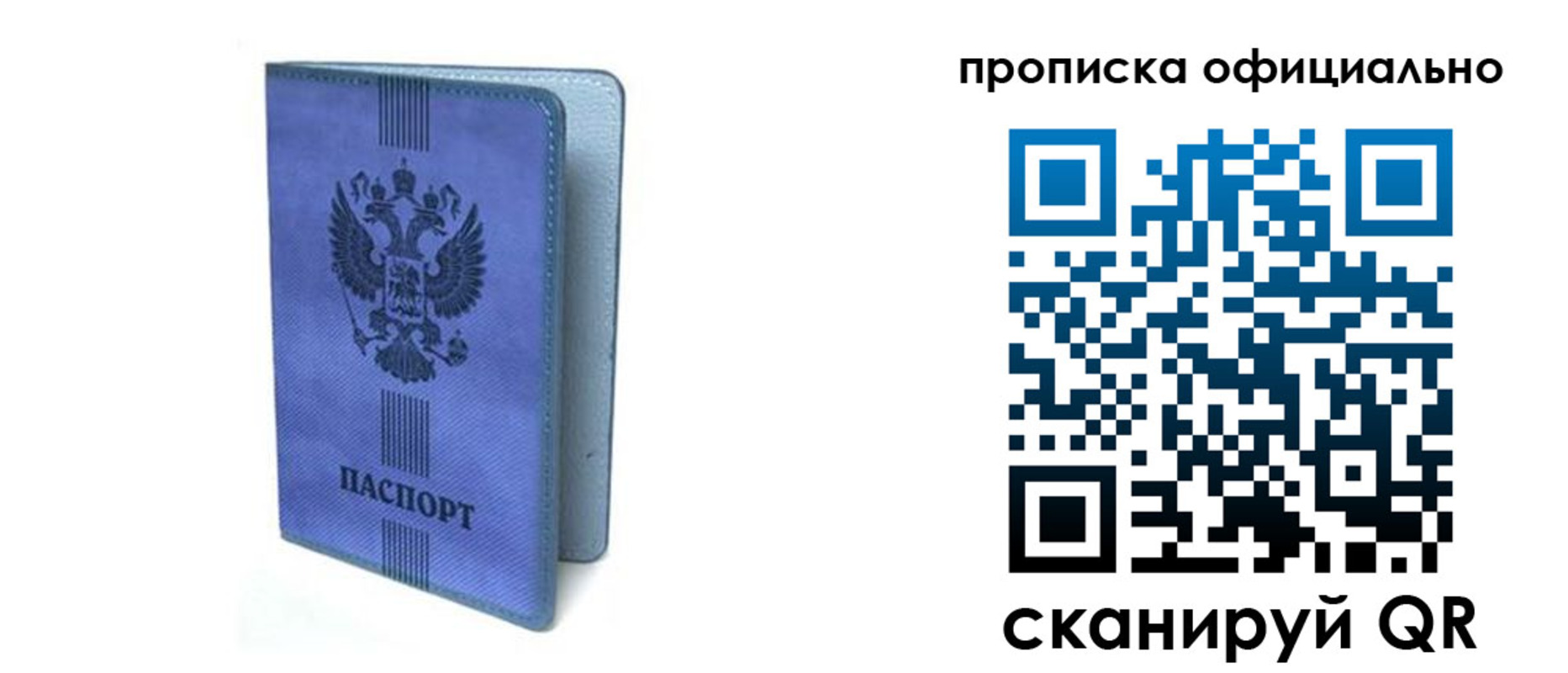 прописка в Жукове