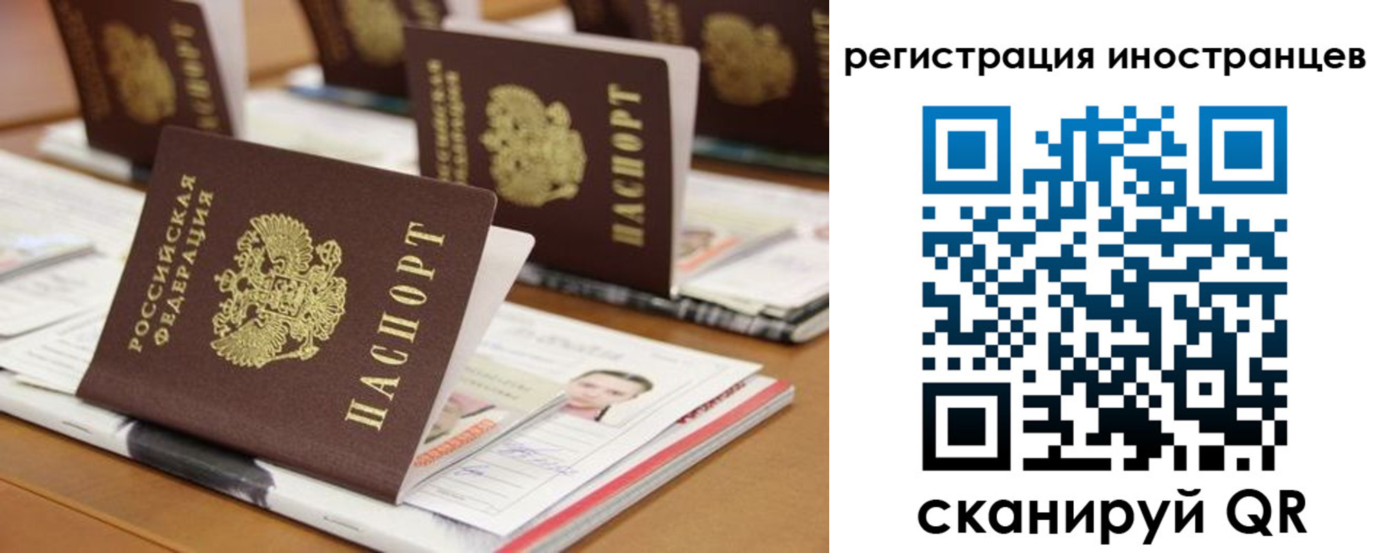 прописка для работы в Жукове